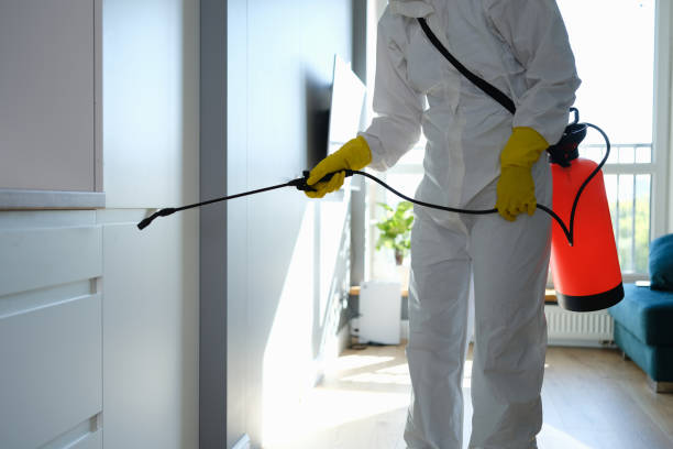 Best Residential Mold Removal  in Fraser, MI